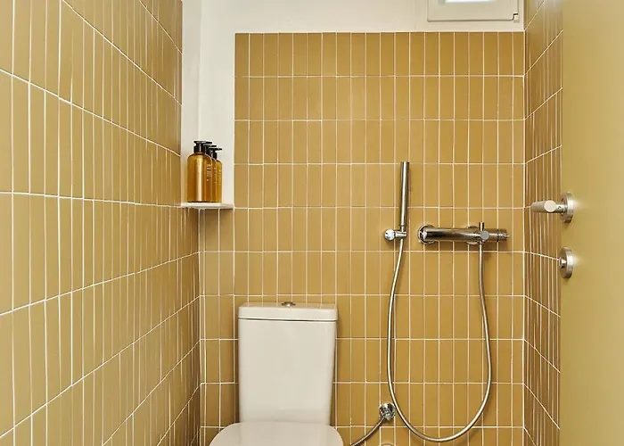 Patrico Πατρικό 公寓 *